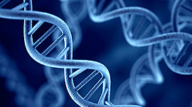 Timeline: Desarrollo histórico de la Biología molecular.