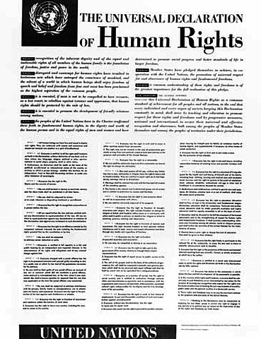 Declaración Universal de los Derechos Humanos