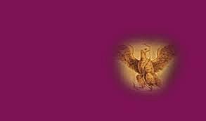 Reformas arts. 6 y 16 CPEUM (2009)