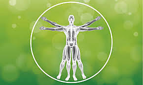 vision sistemica de la vida