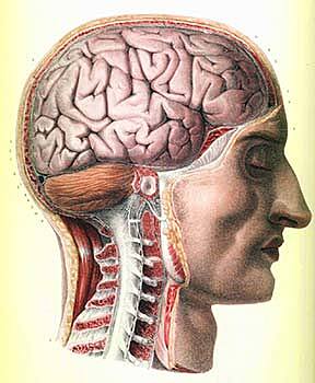 En el último tercio del siglo VI a.C., Alcmeón de Crotona