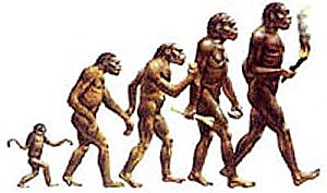 La educación transformación del Hombre Bedoya, I., & Gómez, M