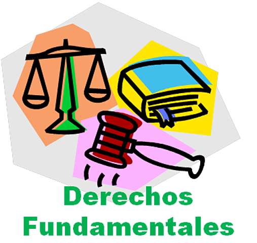 Datos personales como una garantía fundamental y autónoma.