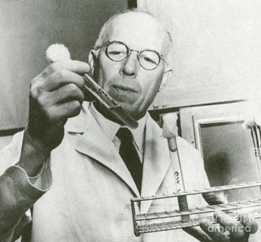 René Dubos. (Saint Brice, 1901 - Nueva YorK, 1982)