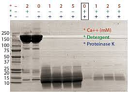 Technology speeds up DNA profiling time, from 6-8 weeks to between 1-2 days.