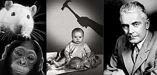 Caso del pequeño Albert