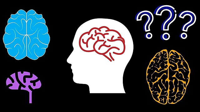 Neuropsicologia cognitiva