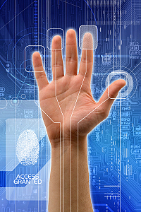 Aprobación:Articulo 73° Constitucional.