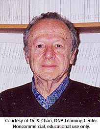 Demostraron que el DNA de E. coli se replica de forma semiconservativa