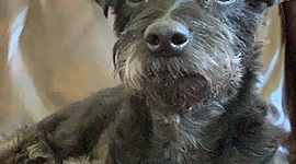 Timeline: US History