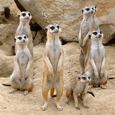 Timeline: mahlon's timeline