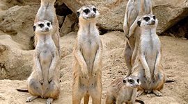 Timeline: mahlon's timeline