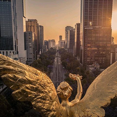 Reforma de artículo