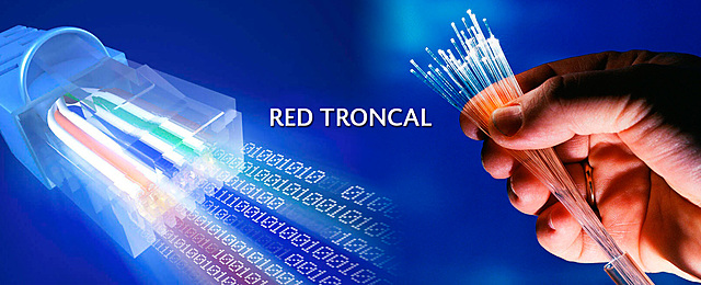 FASE DE COMERCIALIZACIÓN