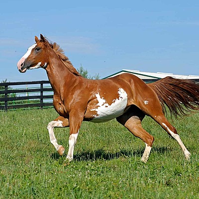 Timeline: Loretta'a Timeline