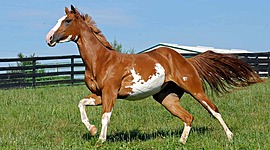 Timeline: Loretta'a Timeline