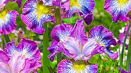 Timeline: KaylaK timeline