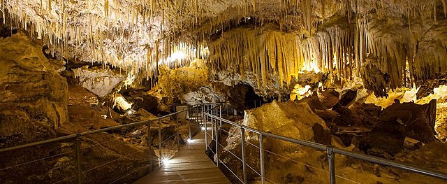 Established Wind Cave National Park