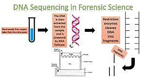 DNA Sequencing