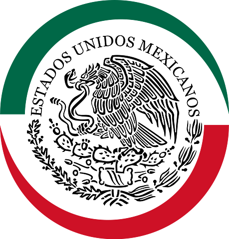 Acuerdo por el que se expide el Manual Administrativo de Aplicación General en Materia de Tecnologías de la Información y Comunicaciones