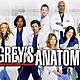 Greys anatomy