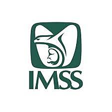 Creación del IMSS