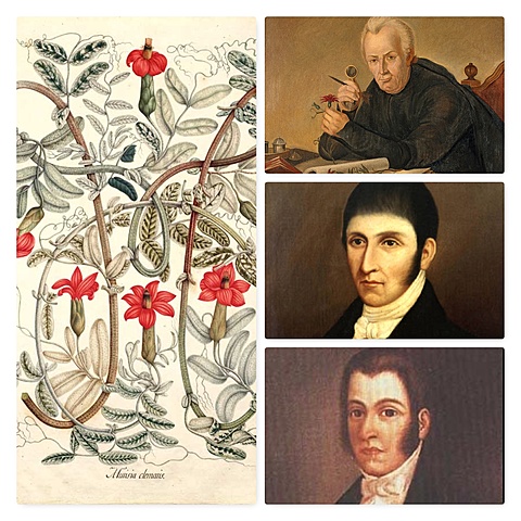 Expediciones Botánicas