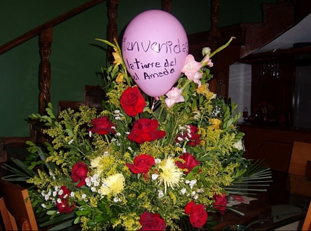 Devuelta a Venezuela