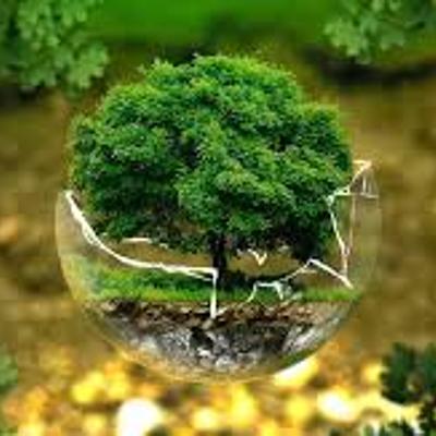 Timeline: DIMENSIÓN  AMBIENTAL  A TRAVÉS DEL TIEMPO