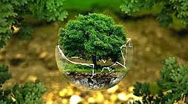 Timeline: DIMENSIÓN  AMBIENTAL  A TRAVÉS DEL TIEMPO