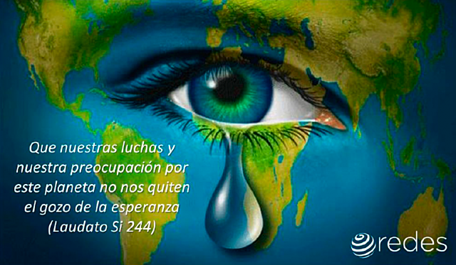 MEDIO AMBIENTE  AÑOS 60