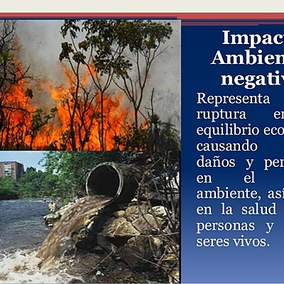 Timeline: CONCEPTOS FUNDAMENTALES: RELACIÓN E INTEGRACIÓN DE LOS COMPONENTES AMBIENTALES