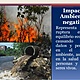 Impacto ambiental 31 638