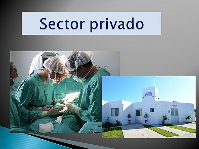 Sector Privado