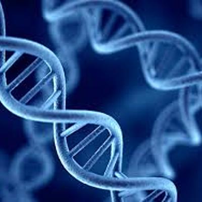 Timeline: Desarrollo histórico de la biología molecular Jair Jimenez