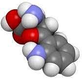Roberto Marco y Alberto Sols-Descubrimiento de los metabolitos