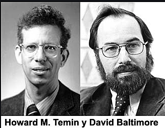 "Retrotranscriptasa" - Temin y David Baltimore