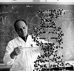 "DNA Z" - Alexander Rich