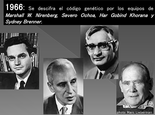 "Código Genético" - Marshall Nirenberg, Har Gobind Khorana, Sydney Brenner y Severo Ochoa