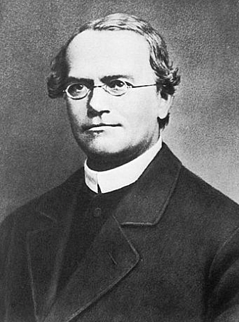 "Genes --> Responsables de la Transmisión de los Caracteres Hereditarios" - Gregor Mendel