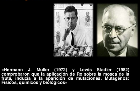 "Mutación en Genes" - Hermann Muller y Lewis Stadler