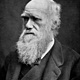 Charles darwin