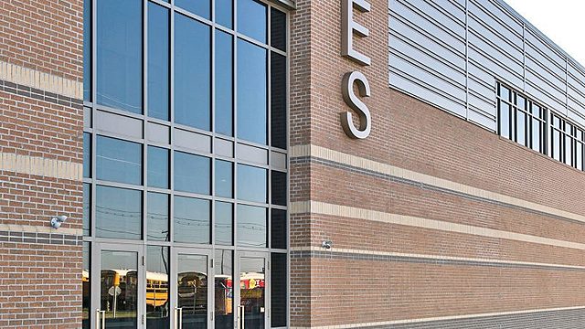 Elementary School Picture