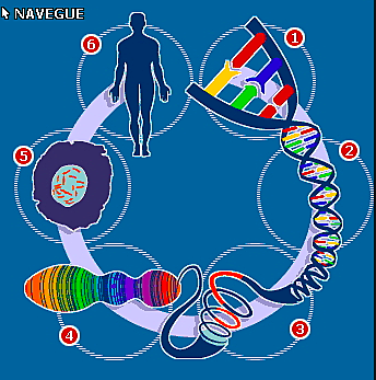 "Proyecto Genoma Humano" -