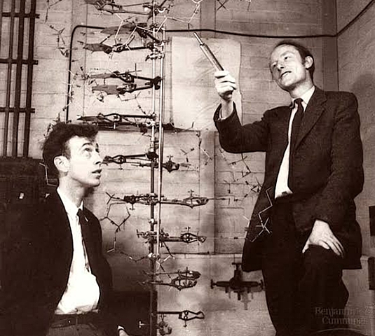 "Doble Hélice del DNA" - James Watson y Francis Crick