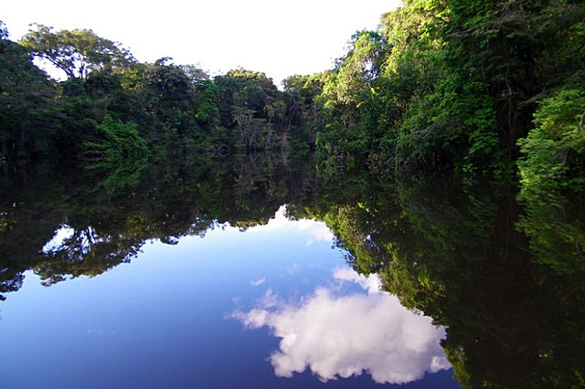 COLOMBIA PROTEGE 19 AREAS NATURALES