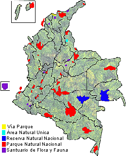 COLOMBIA PROTEGE MILLONES DE HECTAREAS