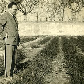 Sección de Investigación Industrial y Agrícola