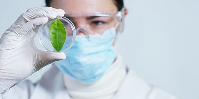 Segunda mitad del siglo XX