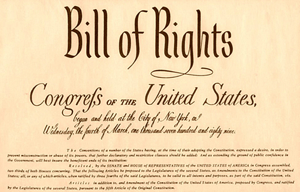The Bill Of Rights